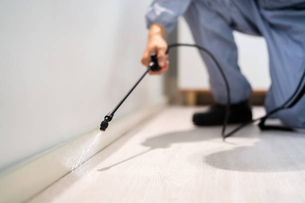 Licensed Fumigation Services service in Zapata County County, TX - Nex Pest Control